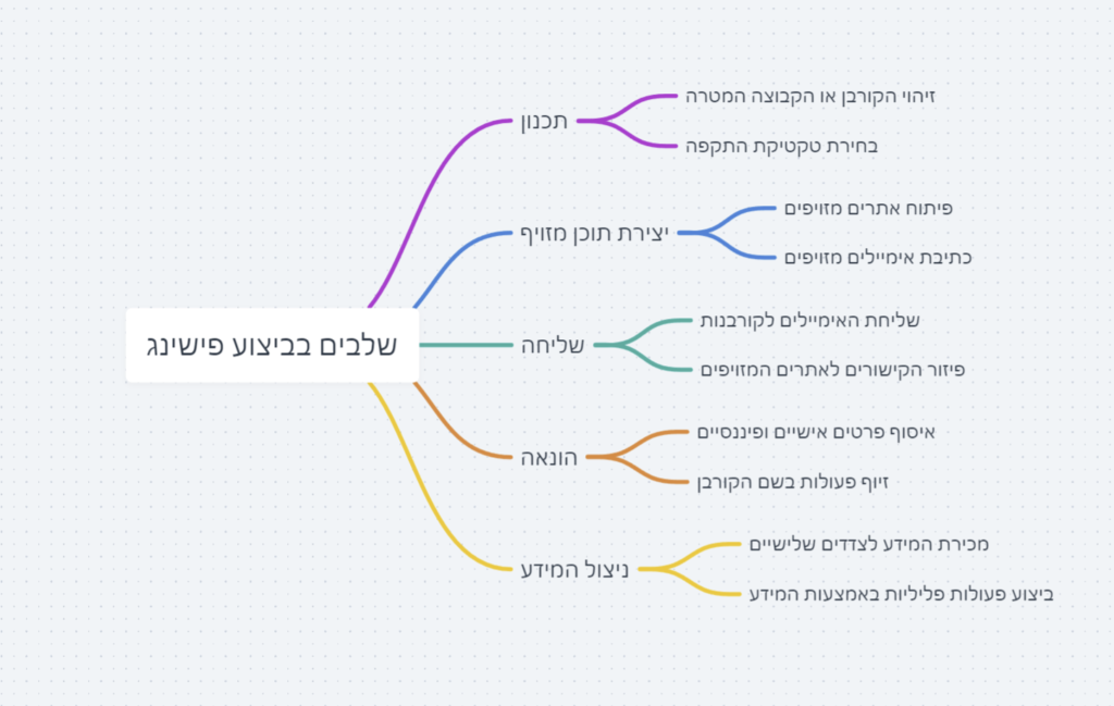 שלבים בביצוע פישינג