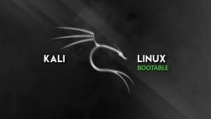 How-to-make-a-Kali-Linux-Bootable-USB-Drive-Methods