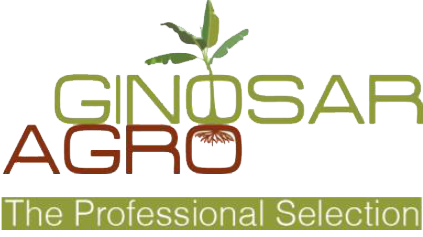 Ginosar Agro
