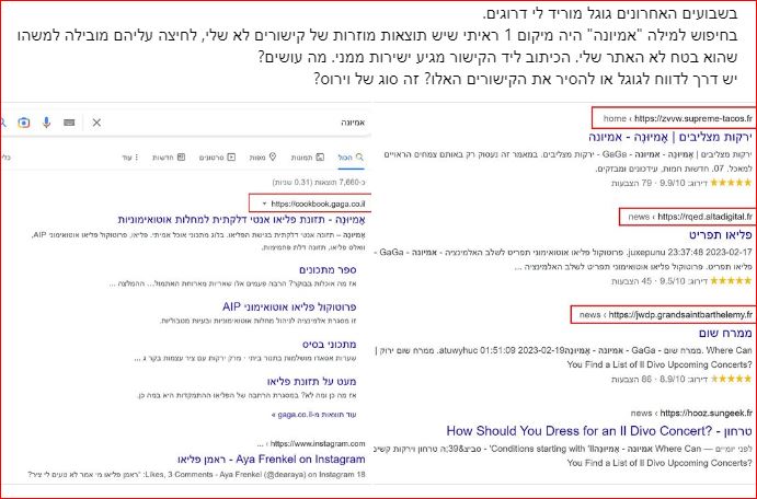 דוגמה לgoogle bot attack